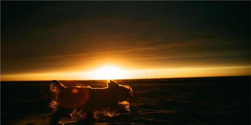 不孕被退婚改嫁首长(6本年代文推荐)