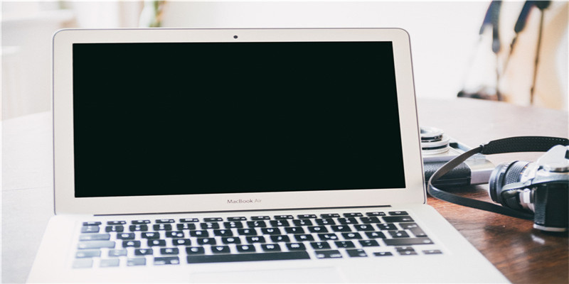 50厘米招财猫鱼多少钱(下列观赏鱼都比较容易饲养)