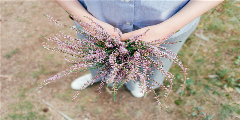 2021年犯太岁最凶的四大生肖怎么化解(风水苏民峰2019年生肖运程完整版)