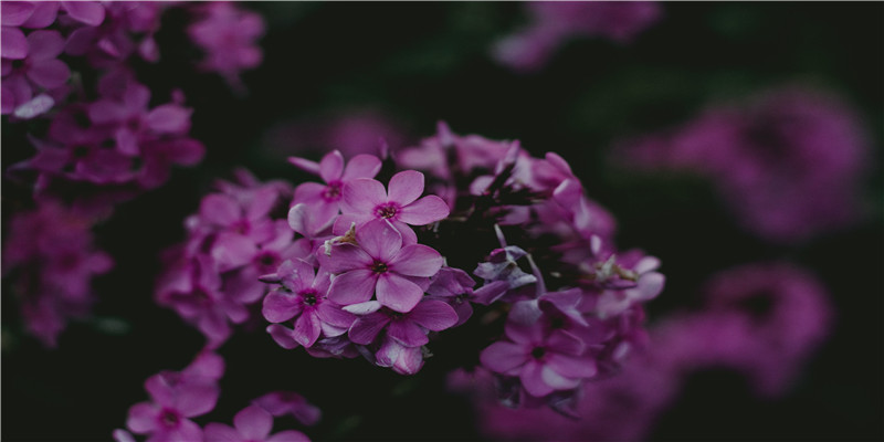 2001年5月5日是什么命(海军特级飞行员)