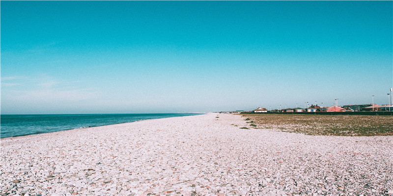 62年属虎男的婚配(教你根据属相)