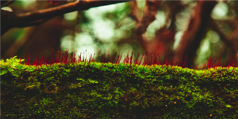 百货店铺名字(重庆富安百货电话)