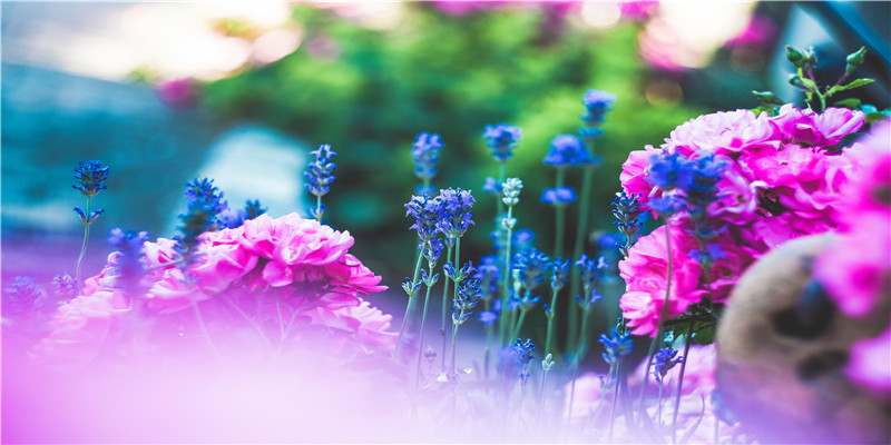 7种女人手相大富大贵(十二种富命人手相特征)