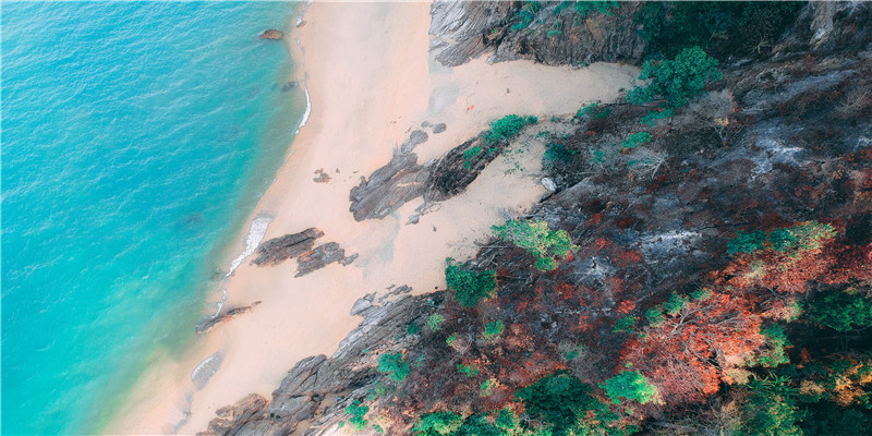 经常梦见前男友怎么回事(梦着前男友)