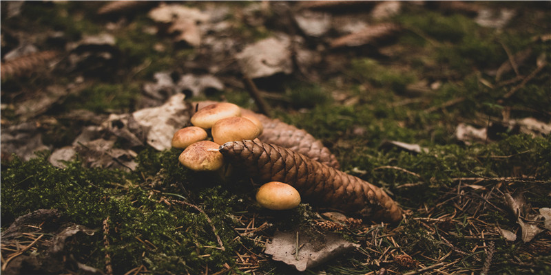 2021年新生儿取名字大全免费(适合取名字的名词)_重复