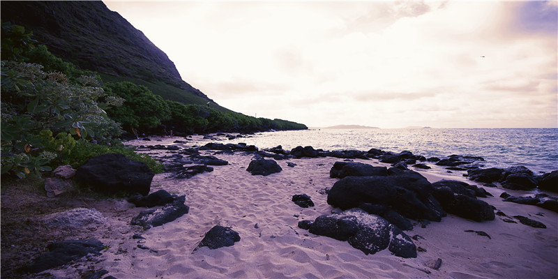 72年属鼠49岁运势(1972年运势)