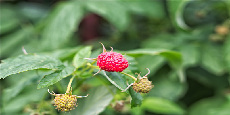 百家姓排名2021年(王姓排第几2020)