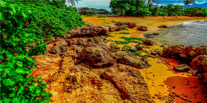 2022年1月25日出生的女孩起名(2020年1月25日出生)