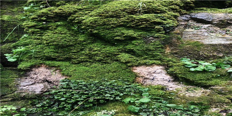 80年婚配最佳对象(移出停滞与回流困难)