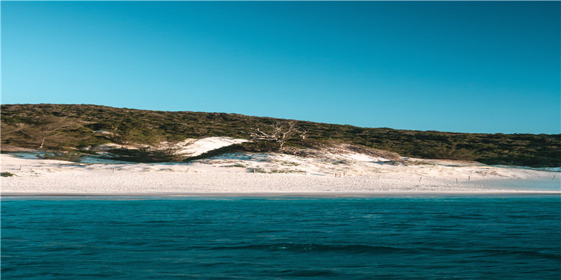 带琛字的名字大气的(带琛字的名人)