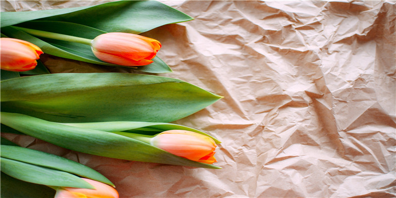 63年多大年龄(63岁是什么之年)