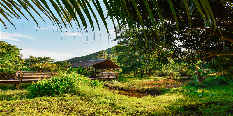 6月10日生日的明星(这些明星虎年竟然是本命年)