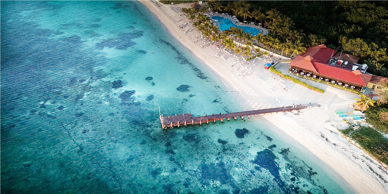 84年属鼠的是什么命(1984年生肖鼠2019年运势大出炉)