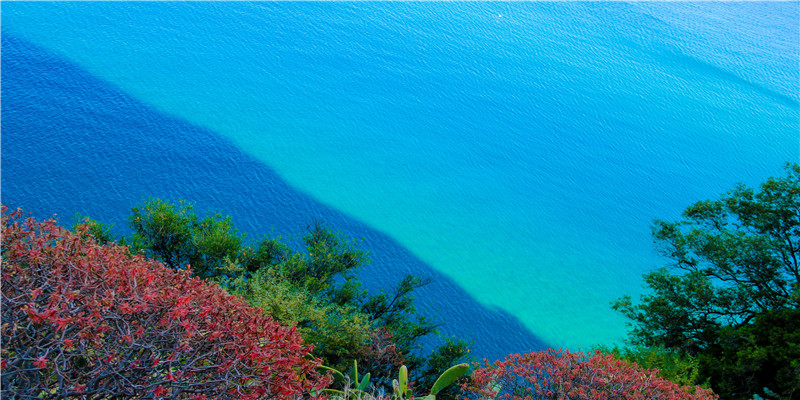 什么样面相的女人命好(酒窝在面相学来讲什么意思)