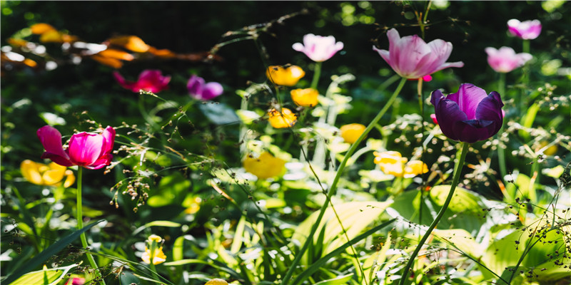 不刊之论什么意思(刊之论的意思)