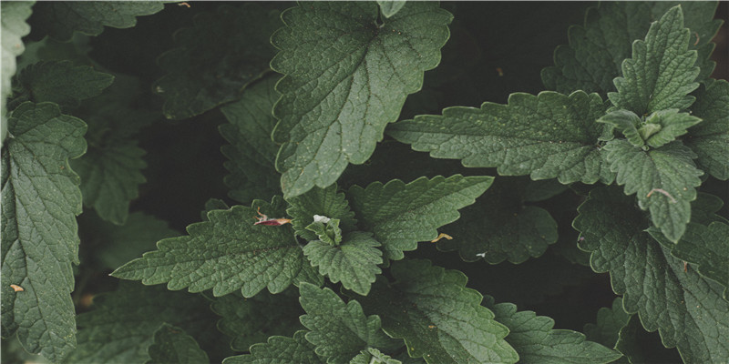 93女和94年男的婚姻匹配吗(“嫁错人”的8位女星)