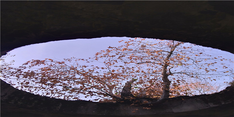 比较高端的群名字(比较优雅的微信群名)