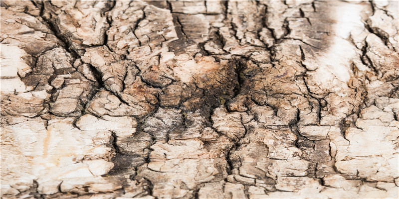 比较有意思的游戏名字(小学生有趣的游戏)