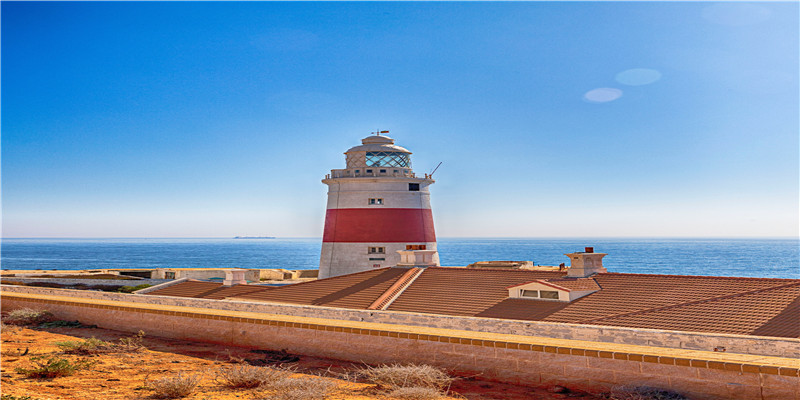 单身梦见心上人结婚了(梦见自己和心上人结婚)