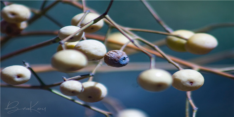 不谋而合的意思(道相同不谋而合的意思)