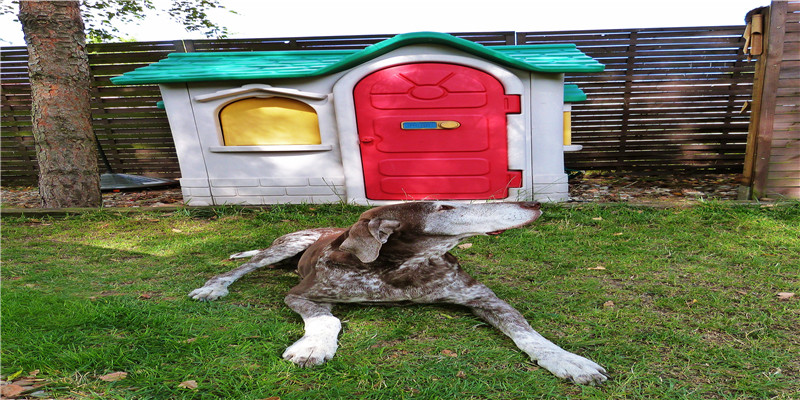 95男适合找哪年出生女人(95跟95年相配吗)