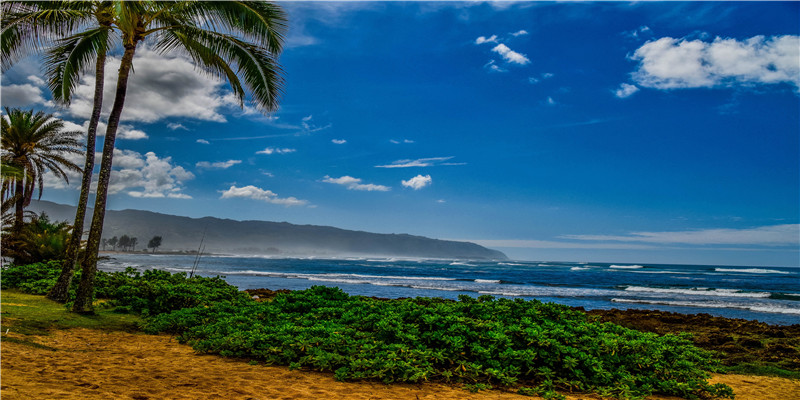 床头朝什么方向招财(有钱人都在床头放这几样东西)
