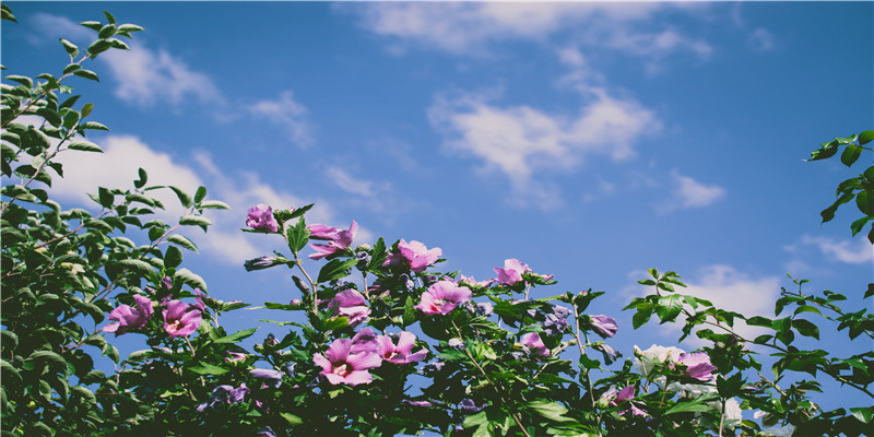 2人基友开黑名字沙雕(基友联机手游)_重复