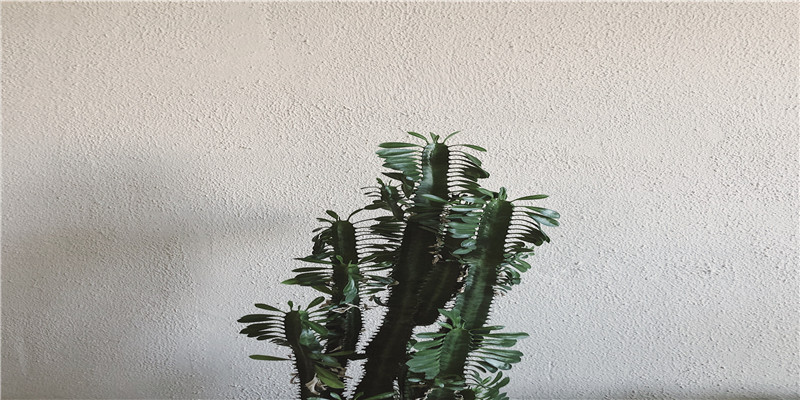 92年周岁多大(92年周岁)