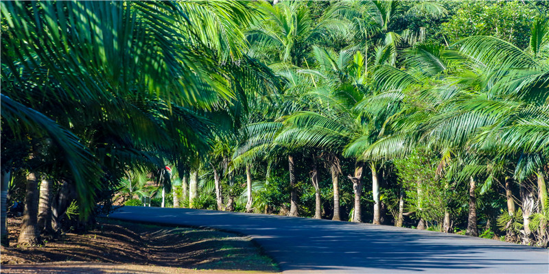 奔流不息的息是什么意思(形容奔流的词语)