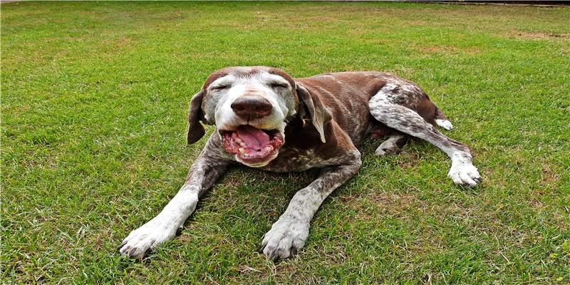 3月10号出生的明星(盘点娱乐圈中从西安走出的明星)