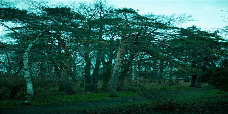 从手相看做什么会发财(钱财线的手相)