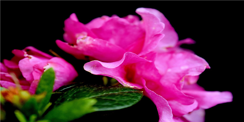 2004年出生今年几岁2020(2002-2020)