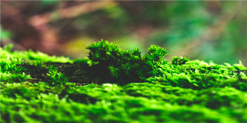 测名打分测名字打分(名字打分测名字)