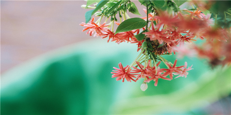 3个亮点是男孩(女孩心目中的男神)