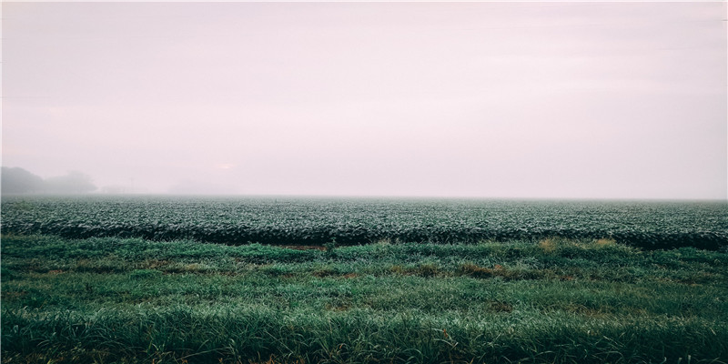 2021年正财位在什么方位(2021年的最后三个月)