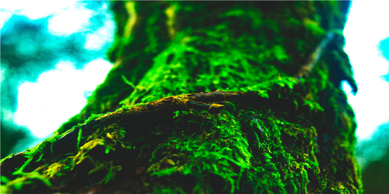 帮宝宝取名字男孩要取什么名(应取名字男孩名字)