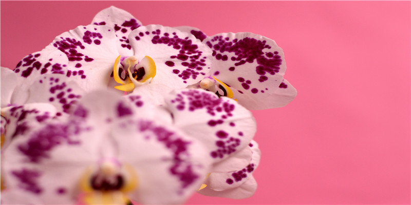 2022年2月22日适合结婚吗(2022年2月22日)