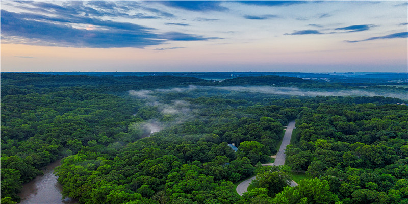 连续两天梦见蛇是什么预兆(梦见了想见的人是什么意思)