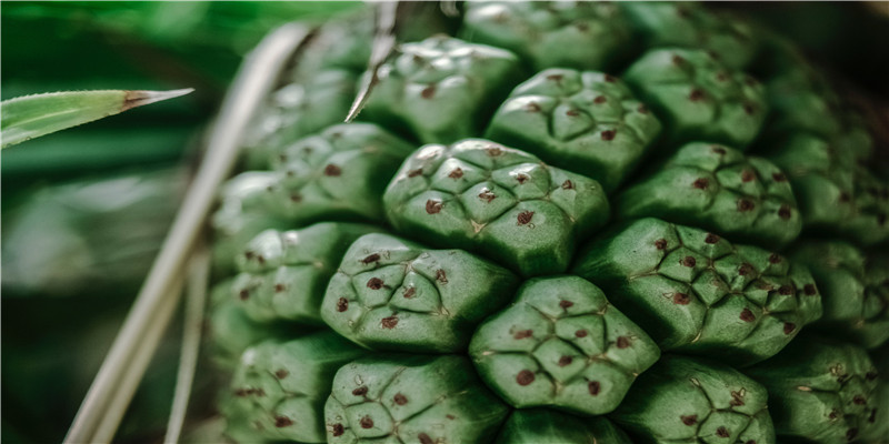 91年羊男的婚配如何(91年和92年五行相配吗)