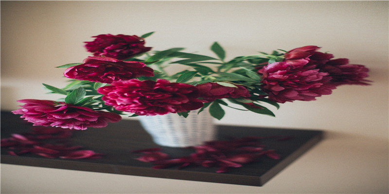 炳字辈怎么起名(姓氏炳是哪个字)