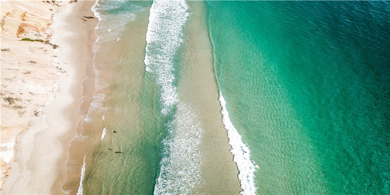 看面相算命运免费(从面相看你一生是穷还是富)