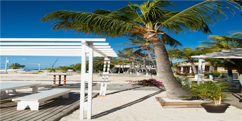 2010年生人运程如何(2009年运程十二生肖运程)