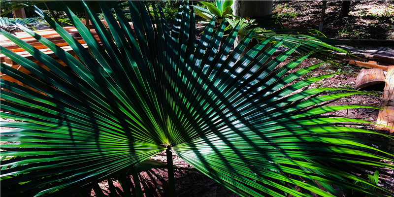 澄的意思及寓意女孩(女孩子带3点水的名字)