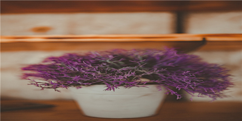 丹凤眼的女人命运如何(女人这几种面相感情道路一帆风顺)