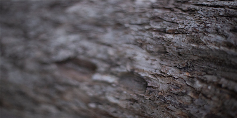 2020年农历十月29出生的宝宝好不好(为全世界歌唱)