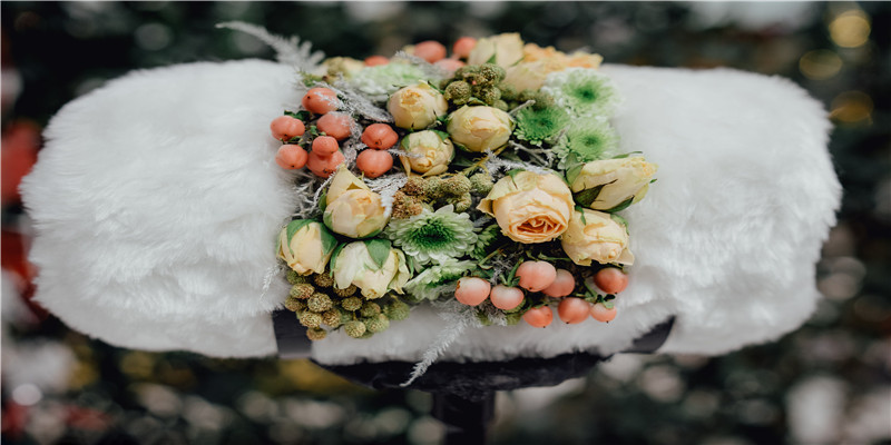 楚辞里好听的男孩名字(楚辞好听的句子)