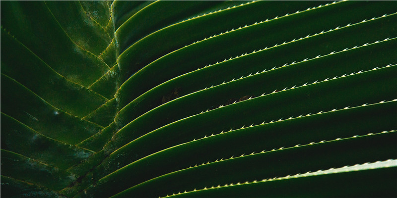 不可捉摸的意思(形容难以捉摸)