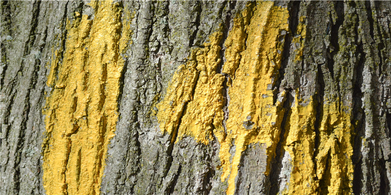 2014年出生的孩子文昌位在哪(问天笃行丨筑梦“天和”)