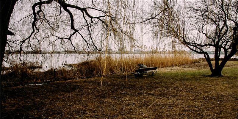 82属狗人的灾难年龄(4月中旬一旺到底变百万富翁)