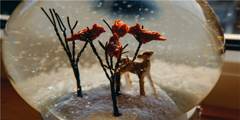 假断掌的女人(断掌的女人克夫)